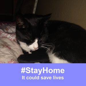 Meet your Posher, Dawn